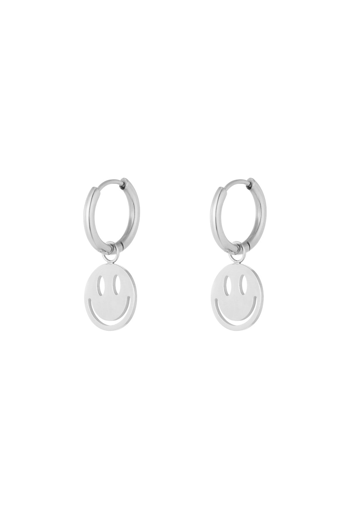 Oorbellen | Zilver