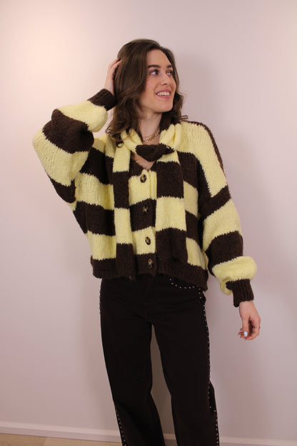 Gestreept vest/trui met sjaaltje - bruin geel