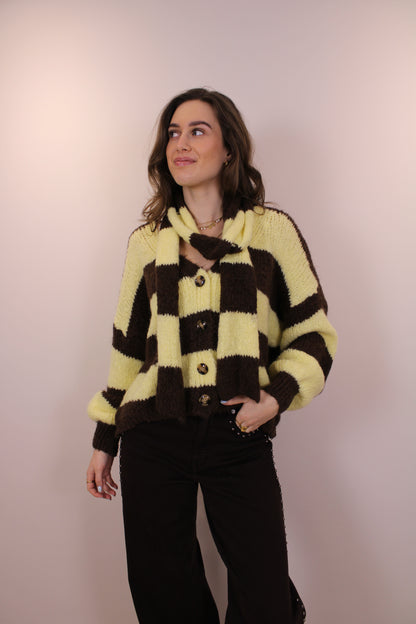 Gestreept vest/trui met sjaaltje - bruin geel