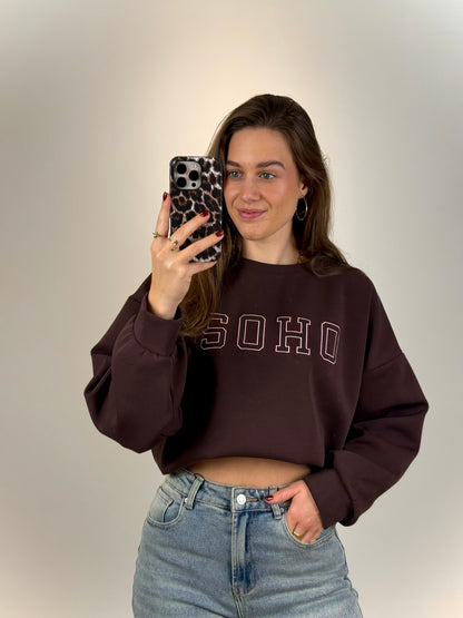 Trui Soho - bruin