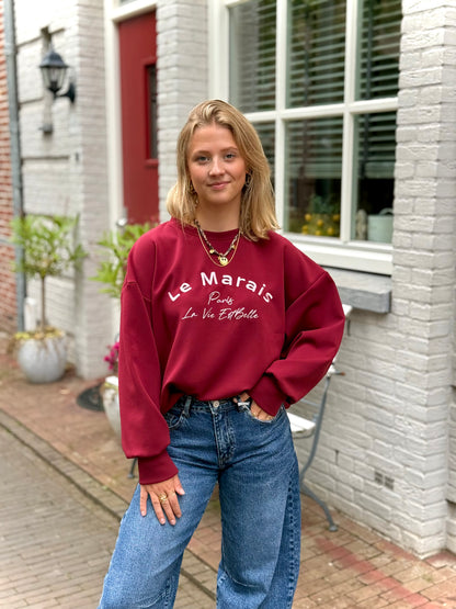 Oversized trui Paris - bordeaux