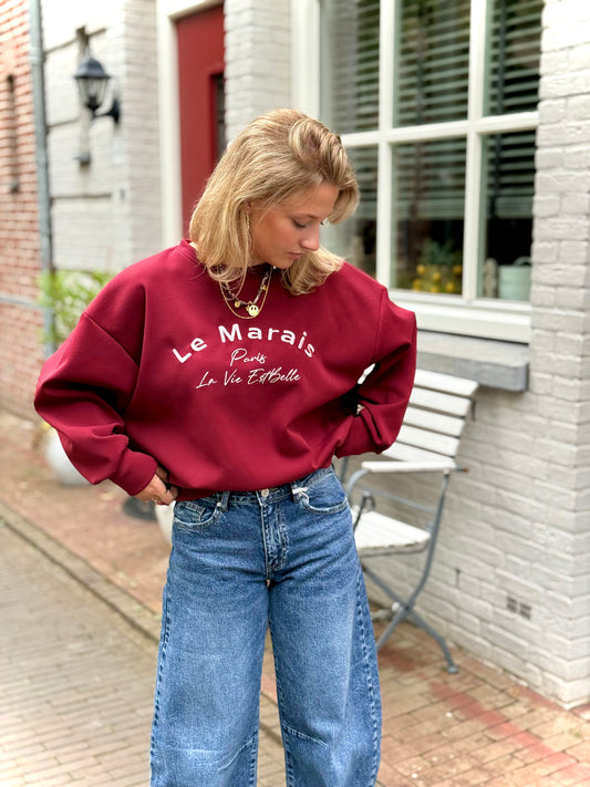 Oversized trui Paris - bordeaux