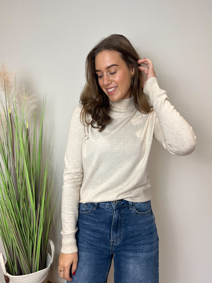 Turtle trui Kaapstad | Beige - At Styles
