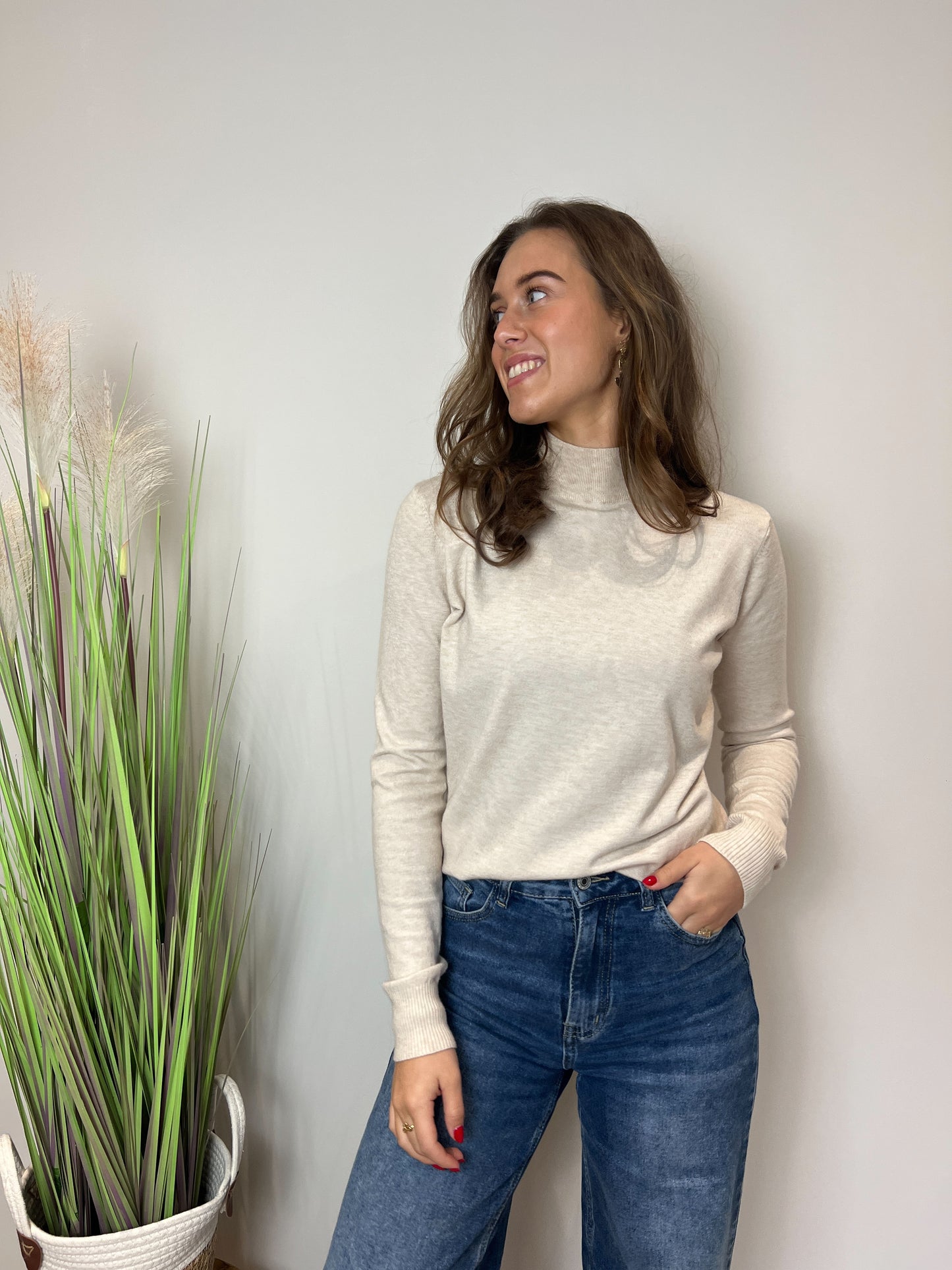 Turtle trui Kaapstad | Beige - At Styles