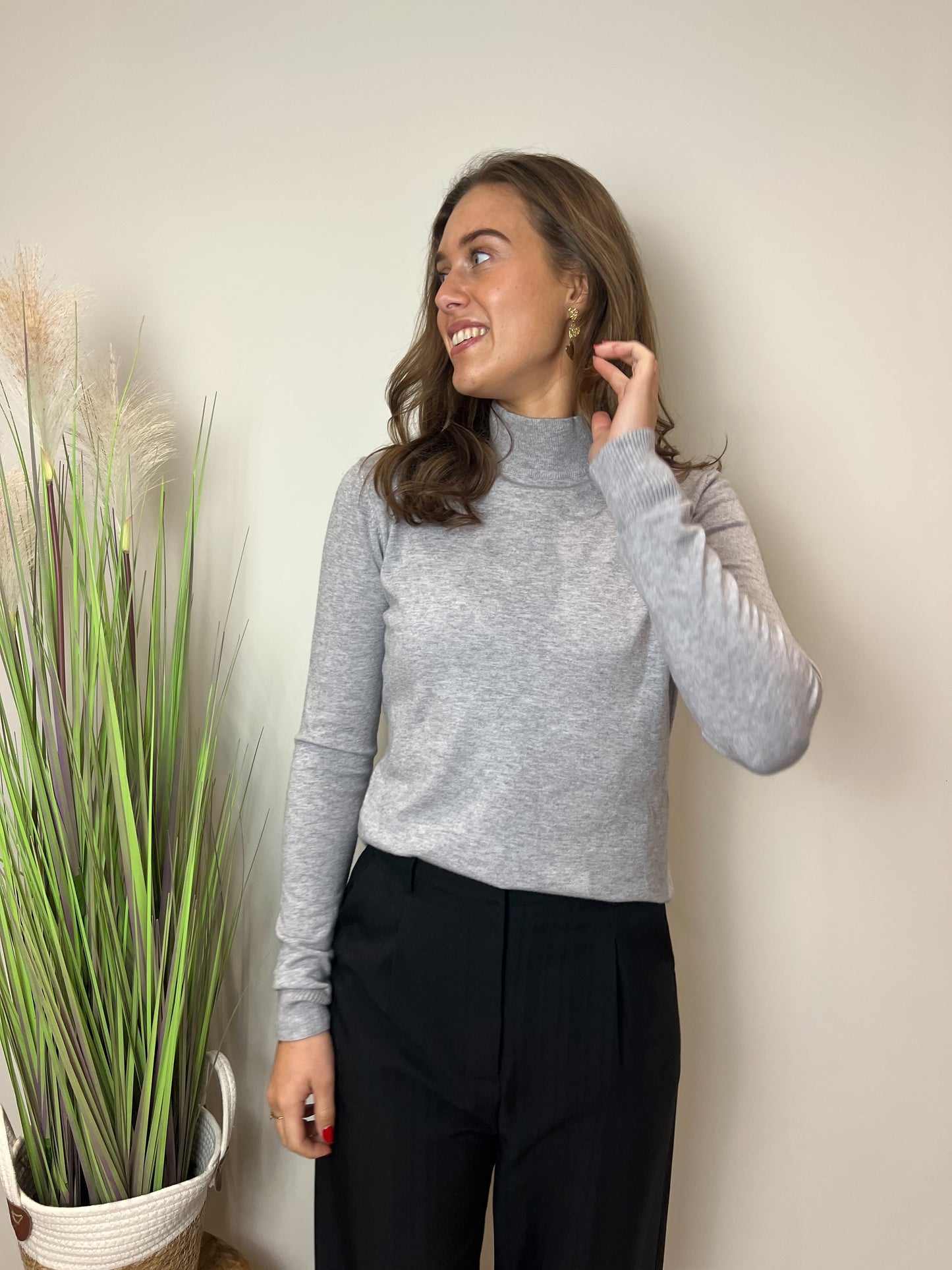 Turtle trui Kaapstad | Grijs - At Styles