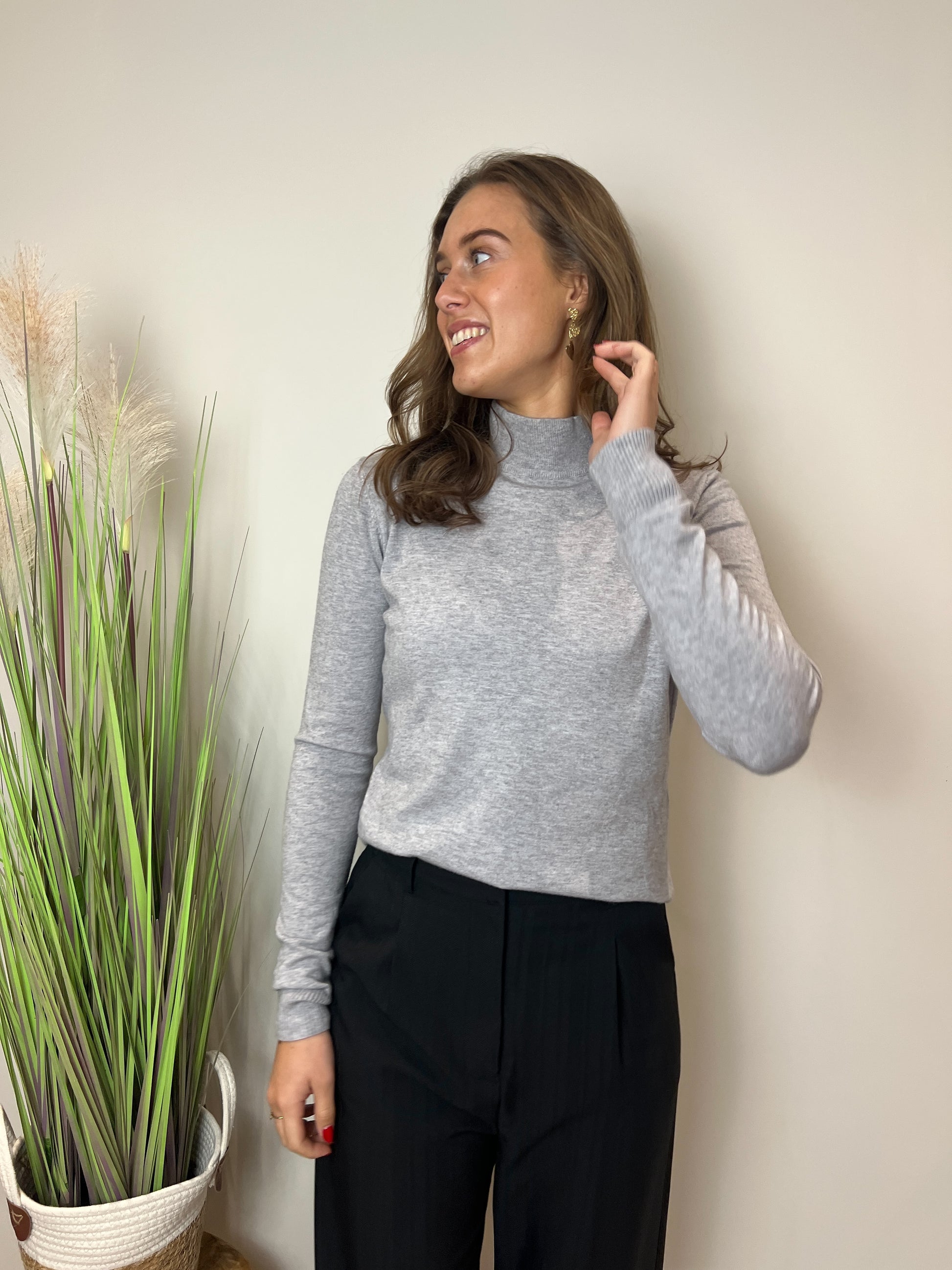 Turtle trui Kaapstad | Grijs - At Styles